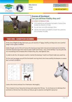 Click to view Resource 104052 Scores of Donkeys!