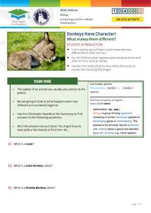 Click to view Resource 104062 Donkeys Have Character!