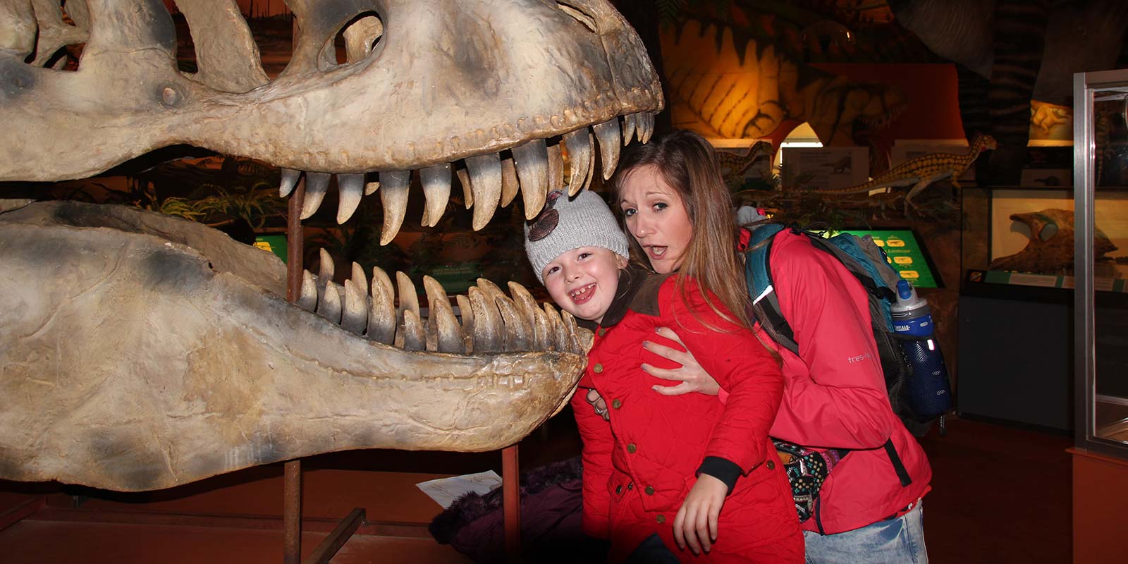 Dino Delights - school trips to Europe's best fossil grounds